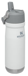 Stanley-Classic Ice Flow Flip Straw Water Bottle 650ml 22oz-Vacuum Bottle-Gearaholic.com.sg