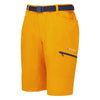 Montane-Men&#39;s Dyno Stretch Shorts-Men&#39;s Legwear-Authentic Orange-S-Gearaholic.com.sg